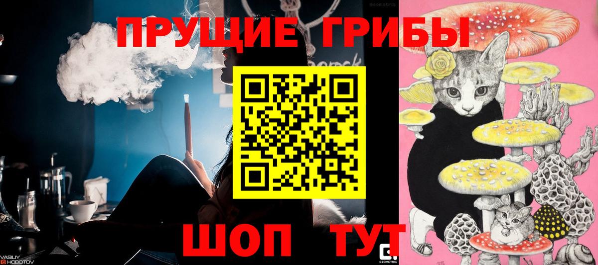 Псилоцибиновые грибы Psilocybe  Вход с VPN  Химки 